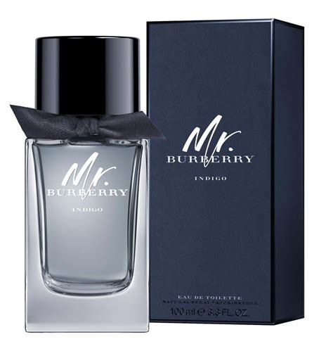 men's mr burberry indigo|Burberry indigo cologne for men.